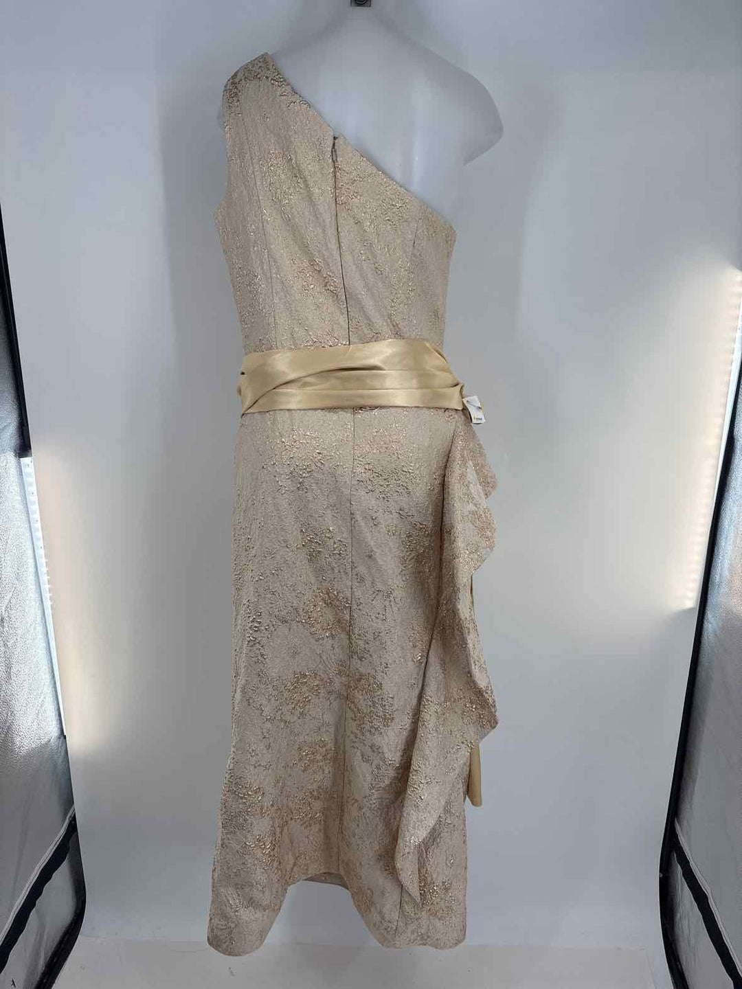 Size 14 TERI JON Gold PROM