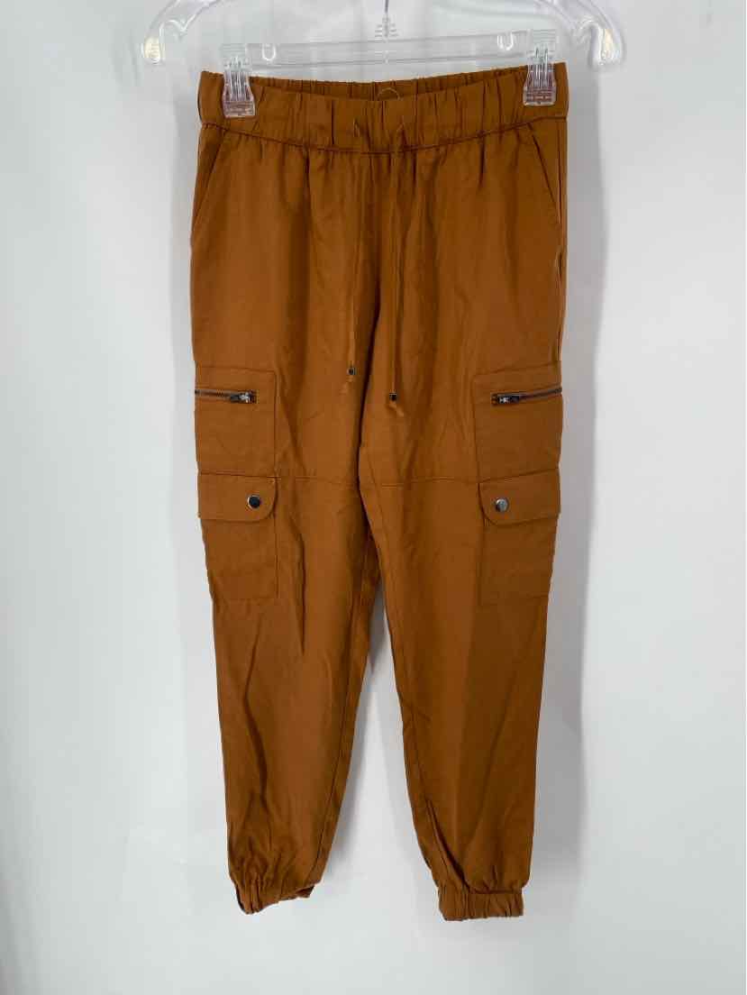 Size XXS Banana Republic Brown Pants