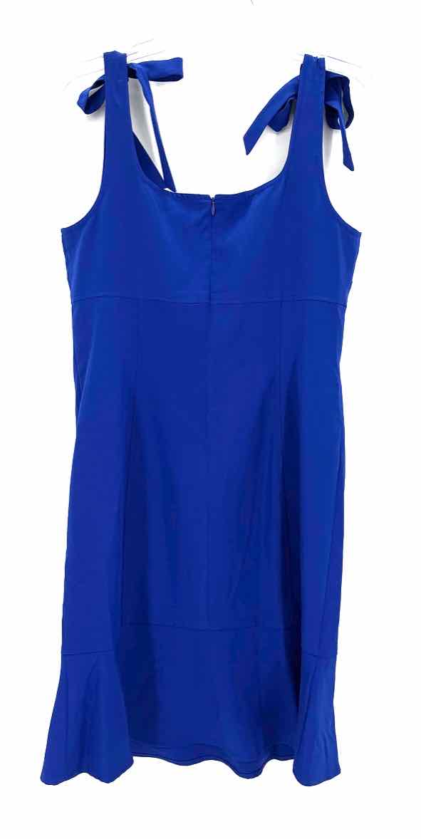 Size 10 Royal Blue Dress