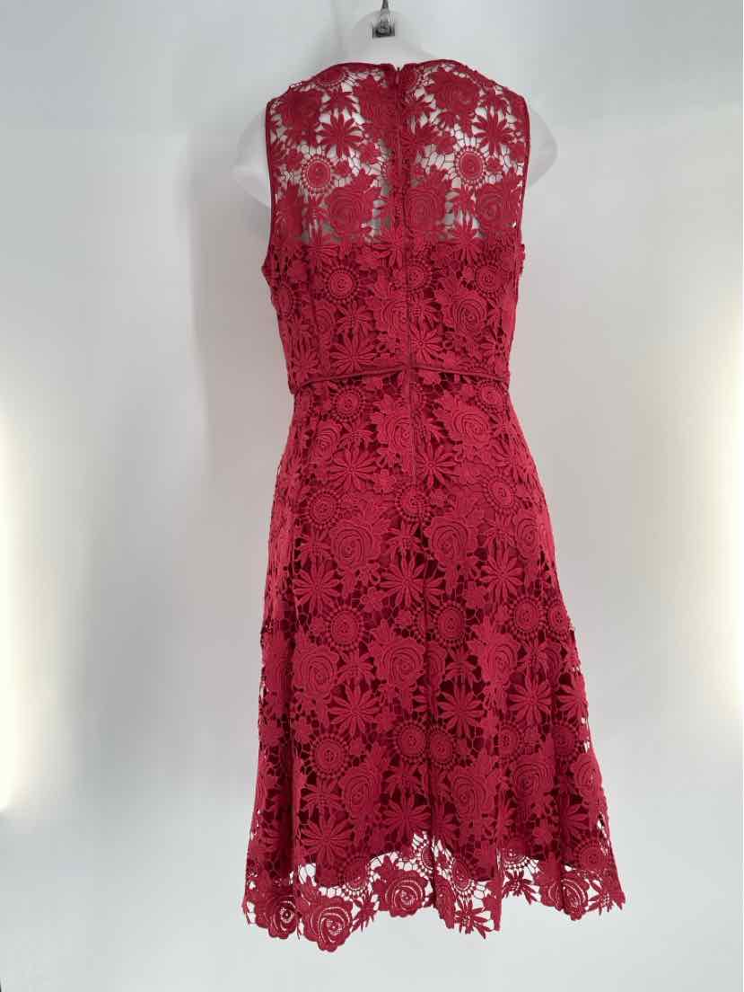 Size 10 White House Black Market Burgundy Lace Dress