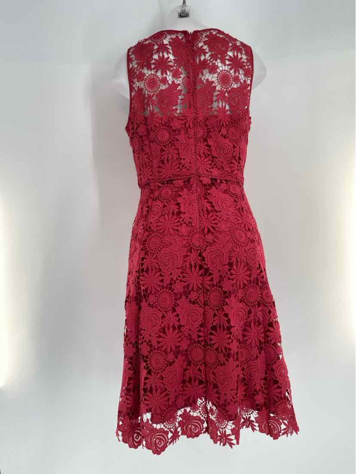 Size 10 White House Black Market Burgundy Lace Dress