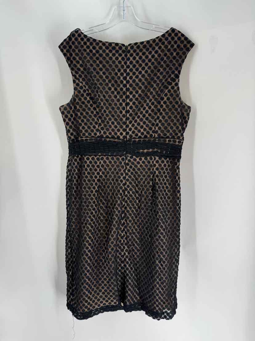 Size 16 Adrianna Papell Black Dress