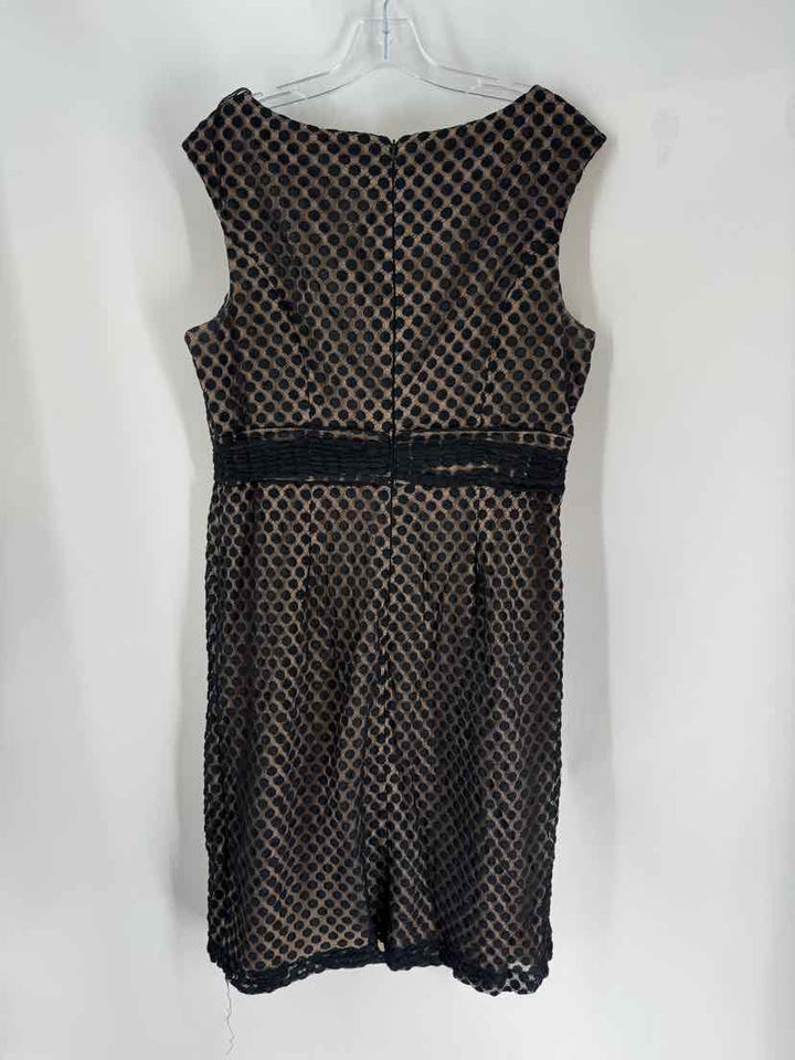 Size 16 Adrianna Papell Black Dress