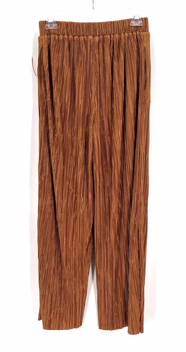 Size XS Banana Republic Rust Pants