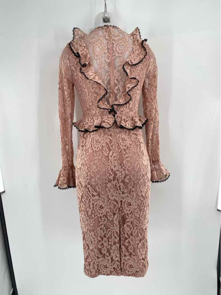 Size S ALEXIS Pink Lace Dress