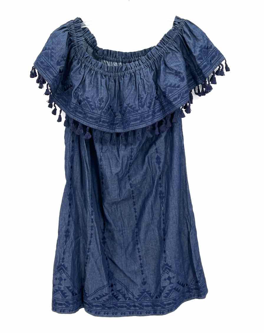 Size M PARKER Denim Chambray Dress