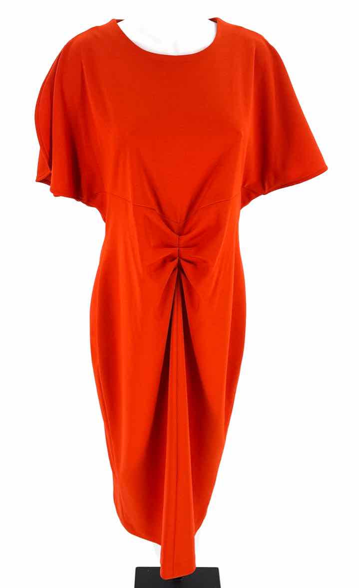 Size 16 Calvin Klein Burnt Orange Dress