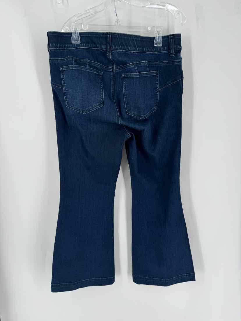 Size 18 Torrid Denim Pants