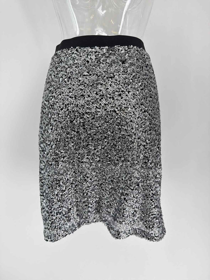 Size 16 Ann Taylor Silver Skirt