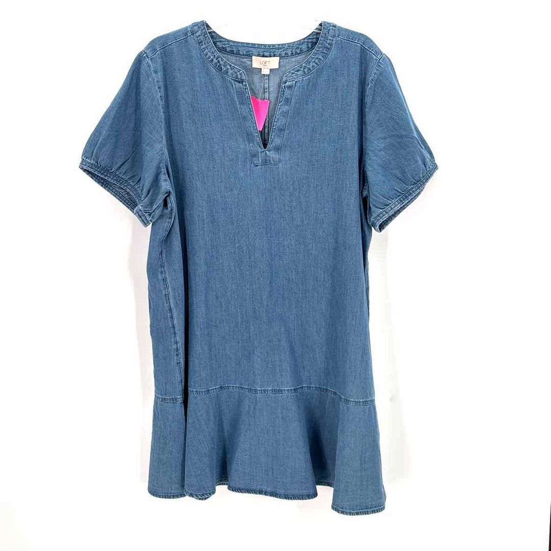 Size XL LOFT Denim Dress