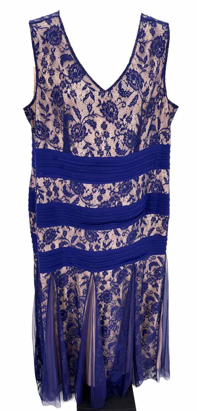 Size 3X Royal Blue Lace Dress