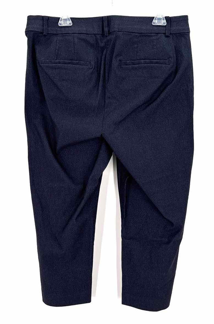 Size 16 LANE BRYANT Navy Pants