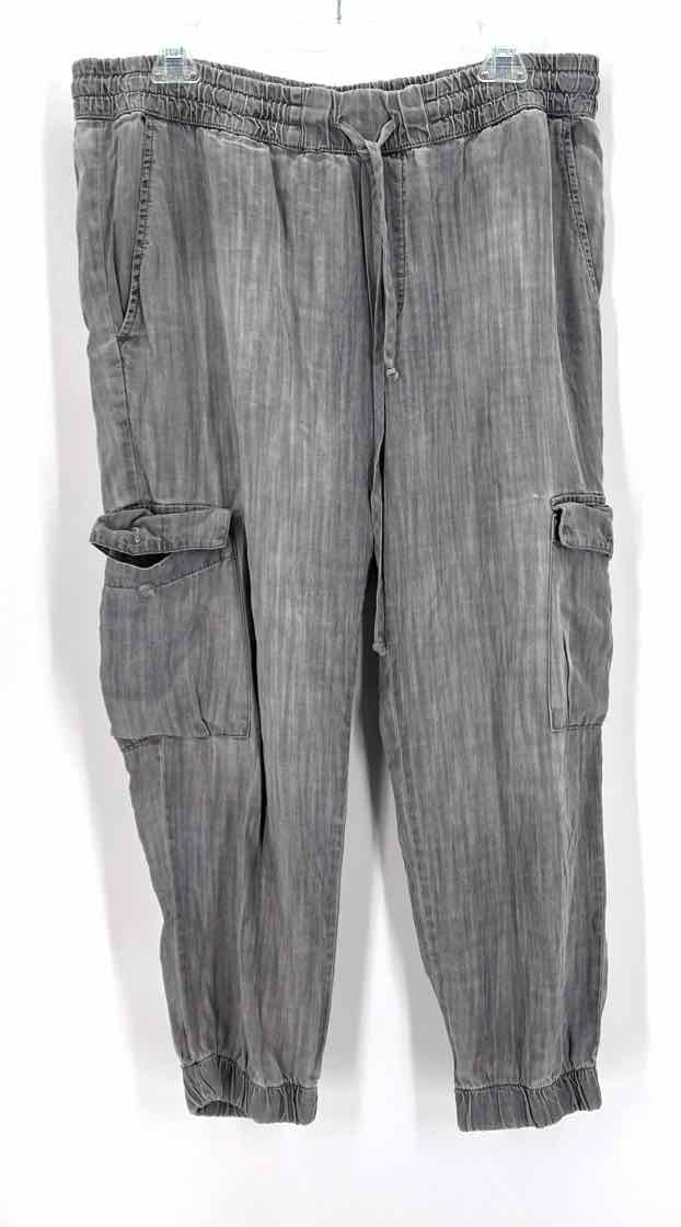 Size L Gray Pants