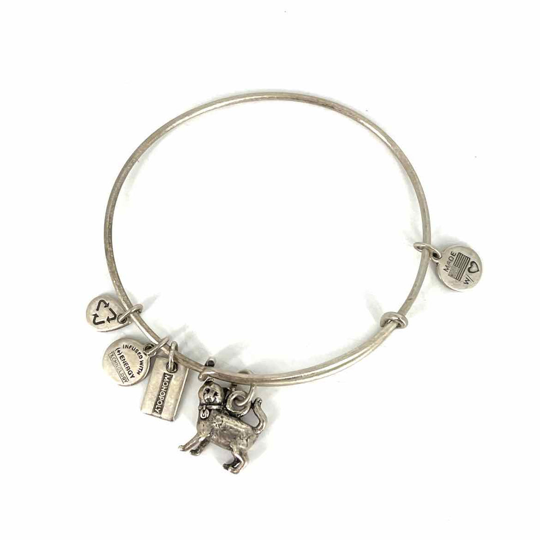 Alex and Ani Bracelet