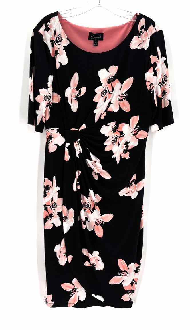 Size 12 CONNECTED APPAREL Black Dress