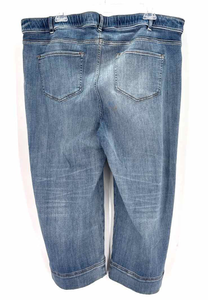 Size 20 J JILL Denim Pants