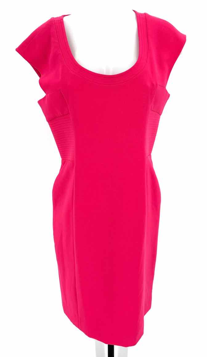 Size 12 RACHEL ROY Pink Dress