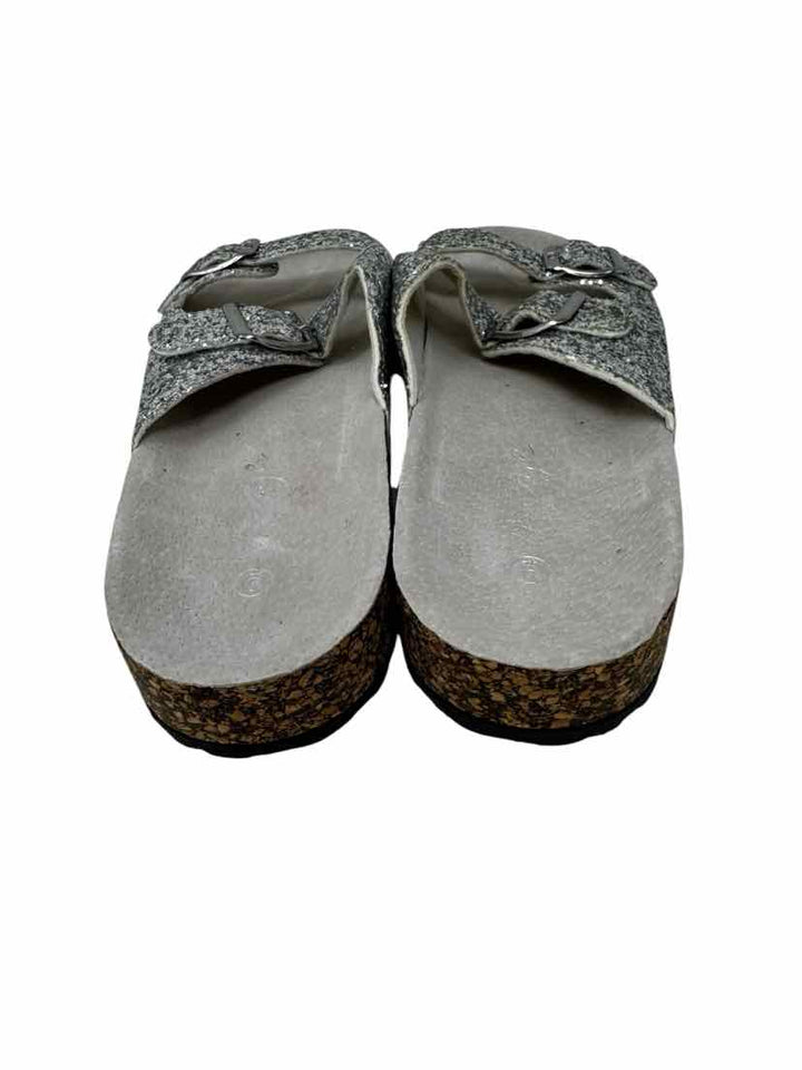 Shoe Size 9 Silver Sandals