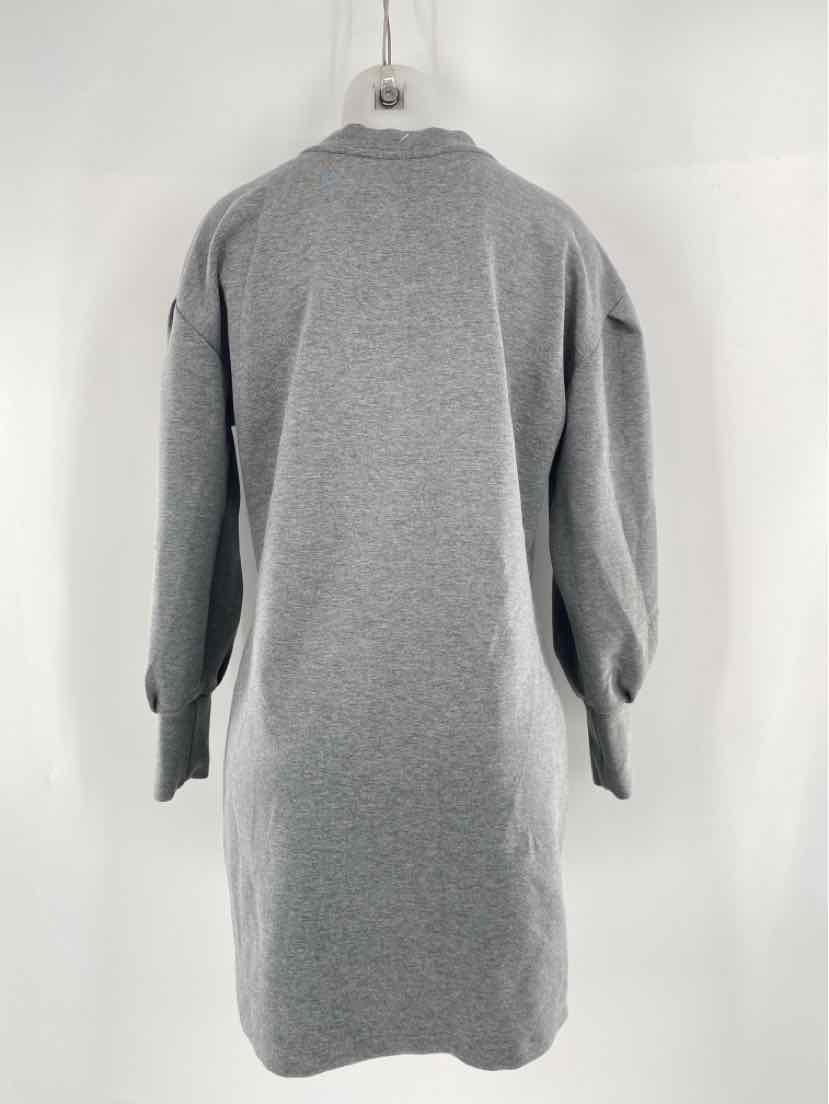 Size L Gray Dress