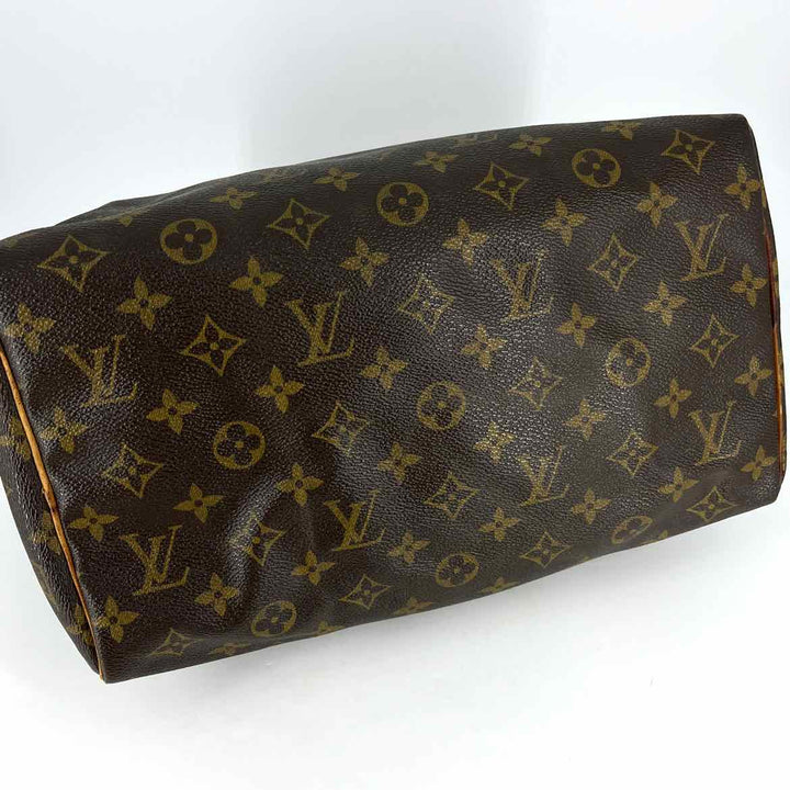 Louis Vuitton Luxury - Purse