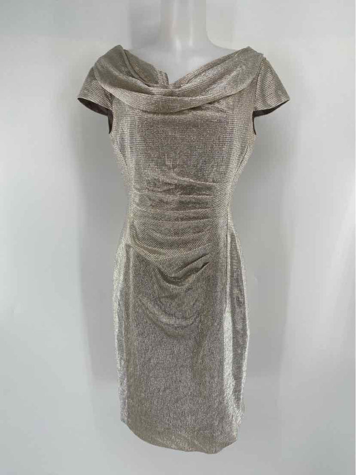 Size 8 TAHARI Silver Dress