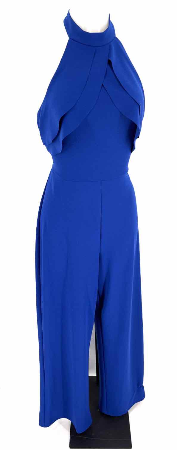 Size 6 BEBE Royal Blue Pants