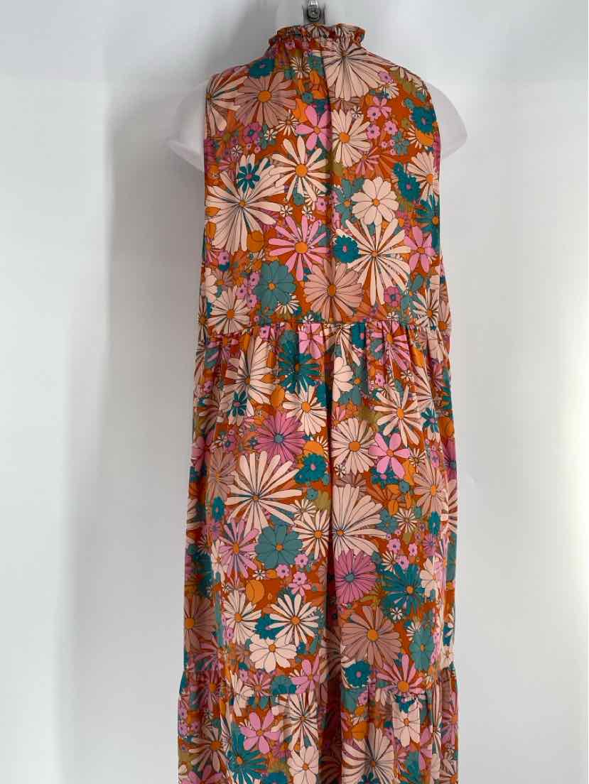 Size M BB Dakota Multi-Color Dress