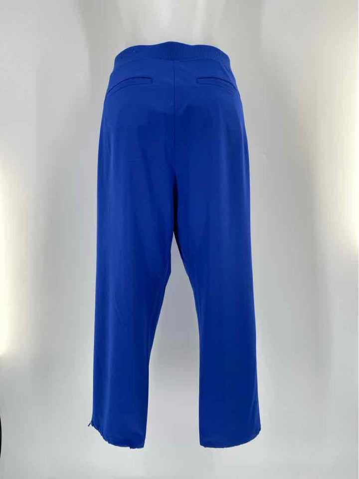 Size 10 Chico's Blue Pants