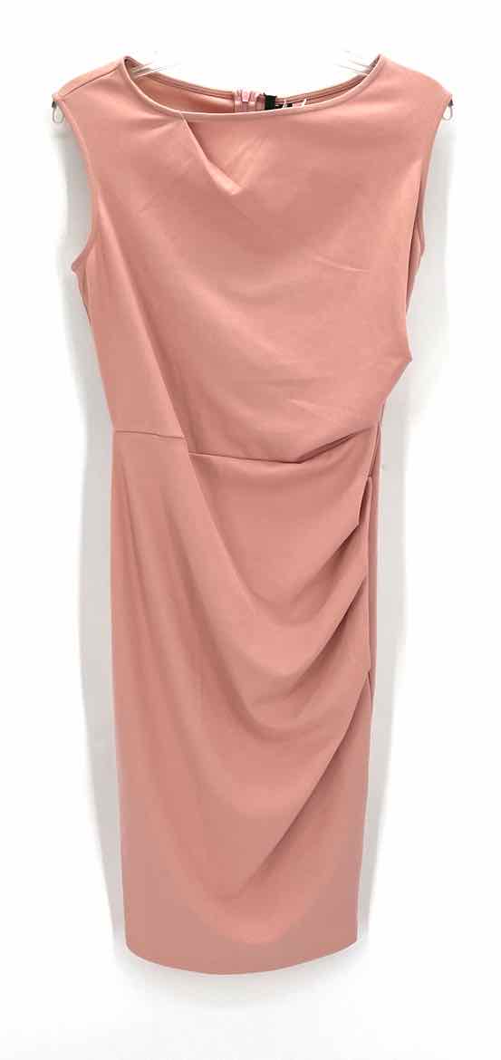 Size M Blush Dress