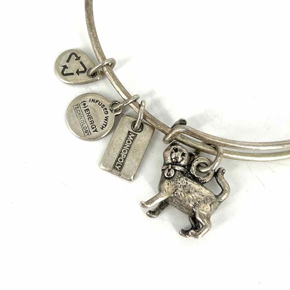 Alex and Ani Bracelet