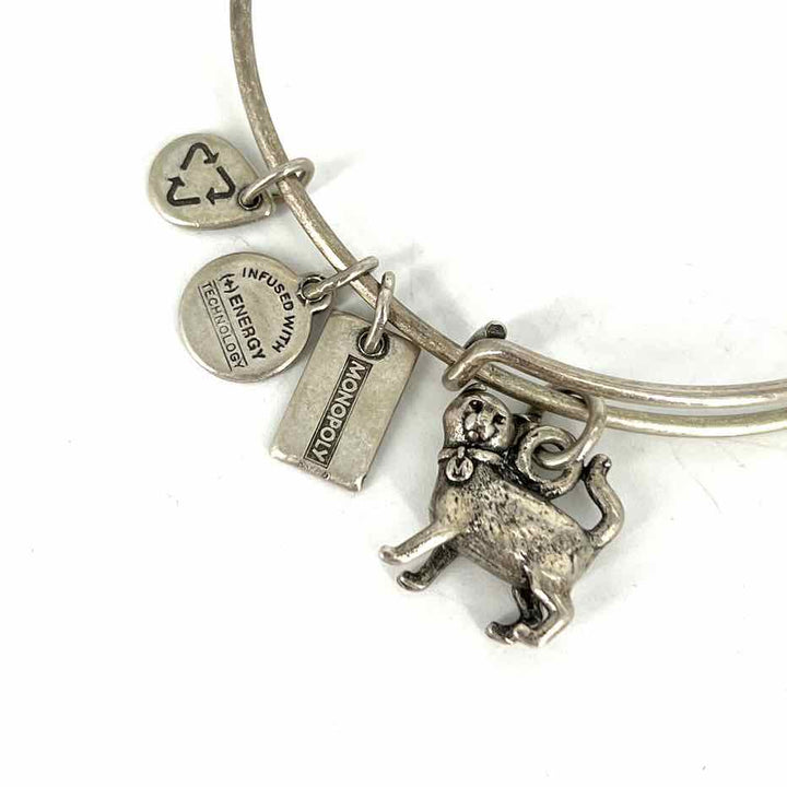 Alex and Ani Bracelet
