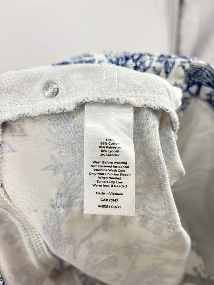 Size 10 Talbots Blue Print Pants