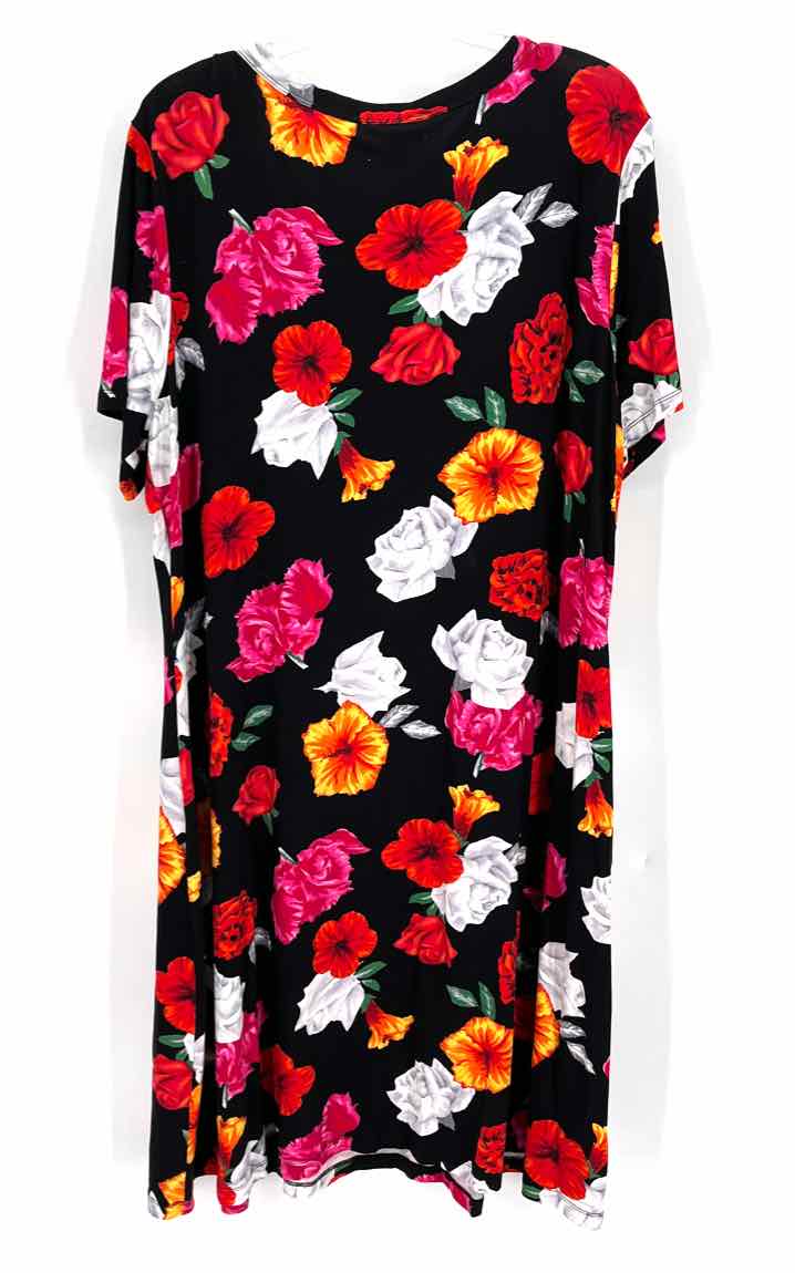 Size 2X PREMISE Black Dress