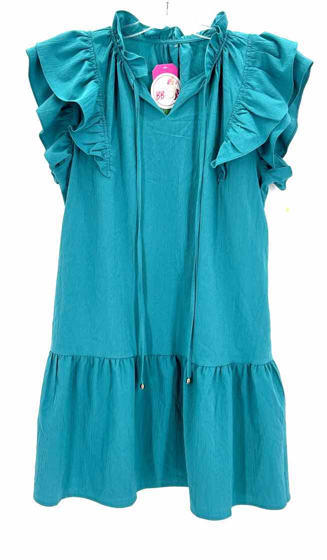 Size L Teal Dress