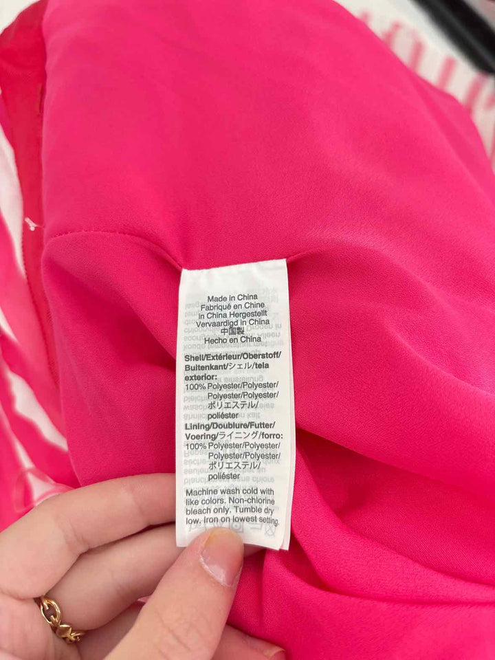 Size 22 J Crew Pink Skirt