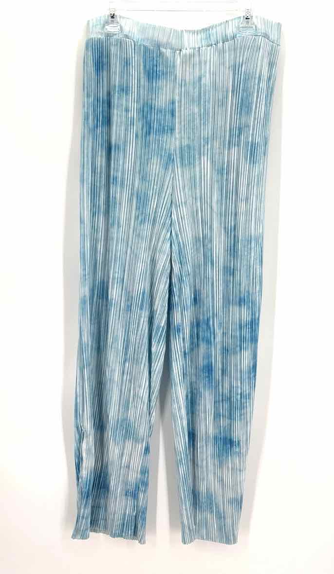 Size XL Blue 2 PC Dress