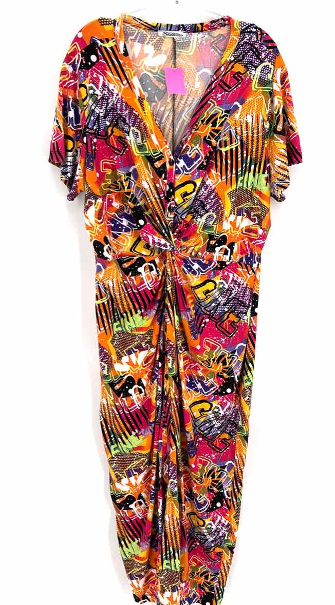Size 2X Multi-Color Dress