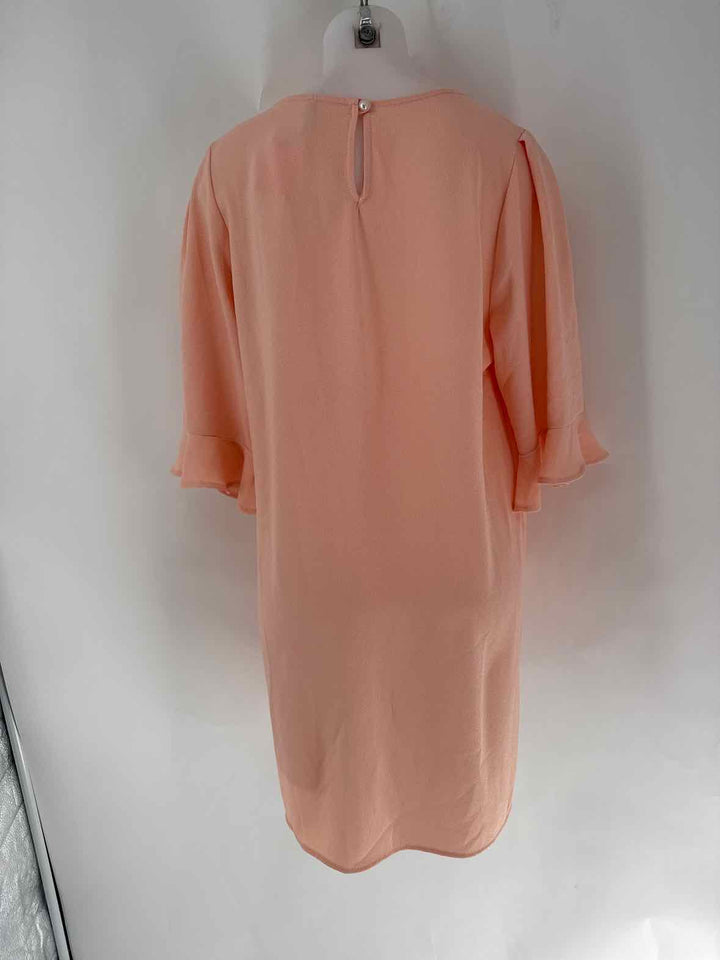 Size L Peach Dress