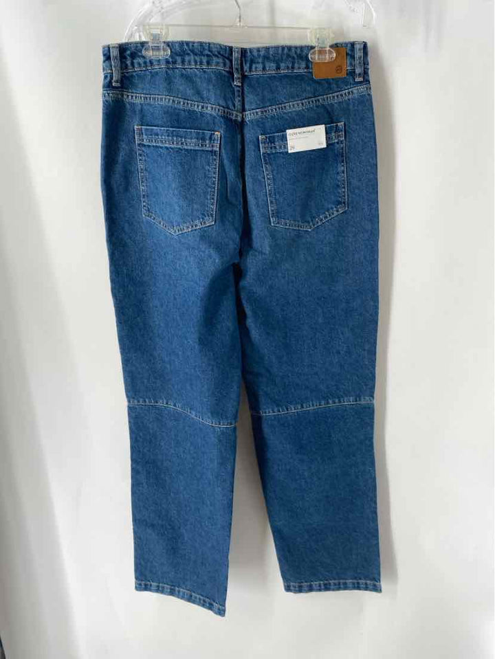 Size 29 AG Denim Pants