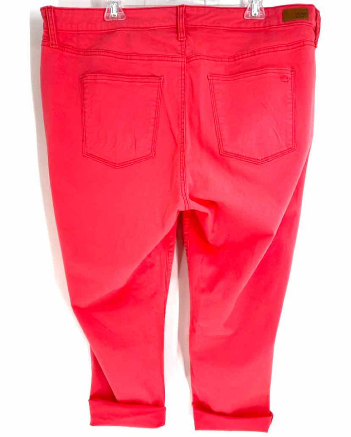 Size 16 CROWN & IVY Coral Pants