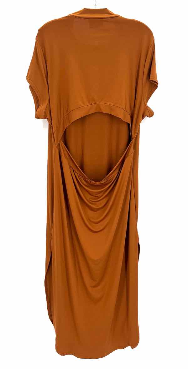 Size 3X Bronze Dress