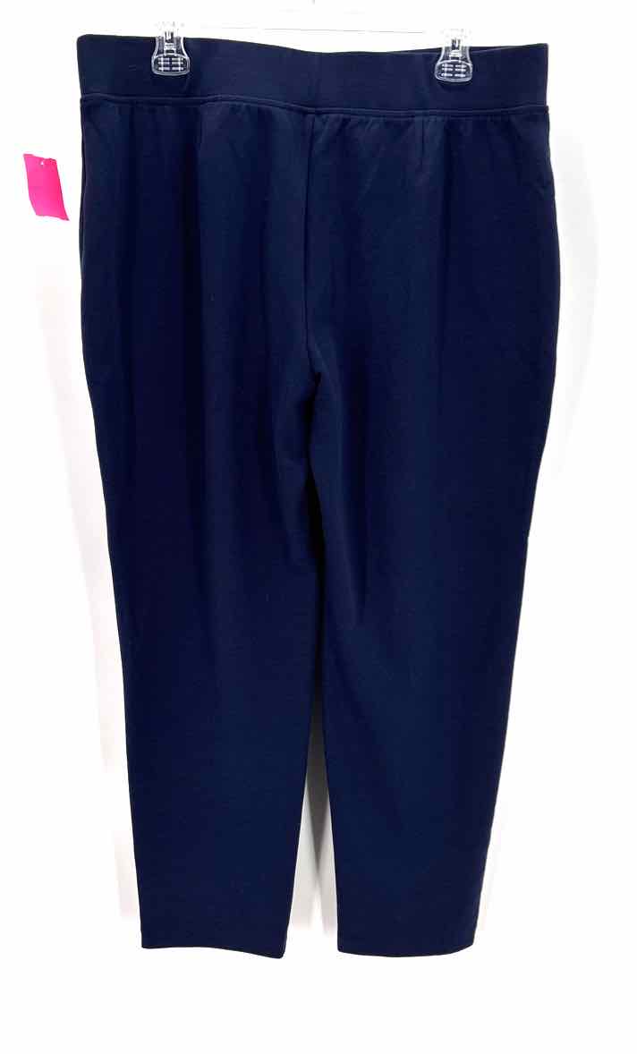 Size 2 Chico's Navy Pants