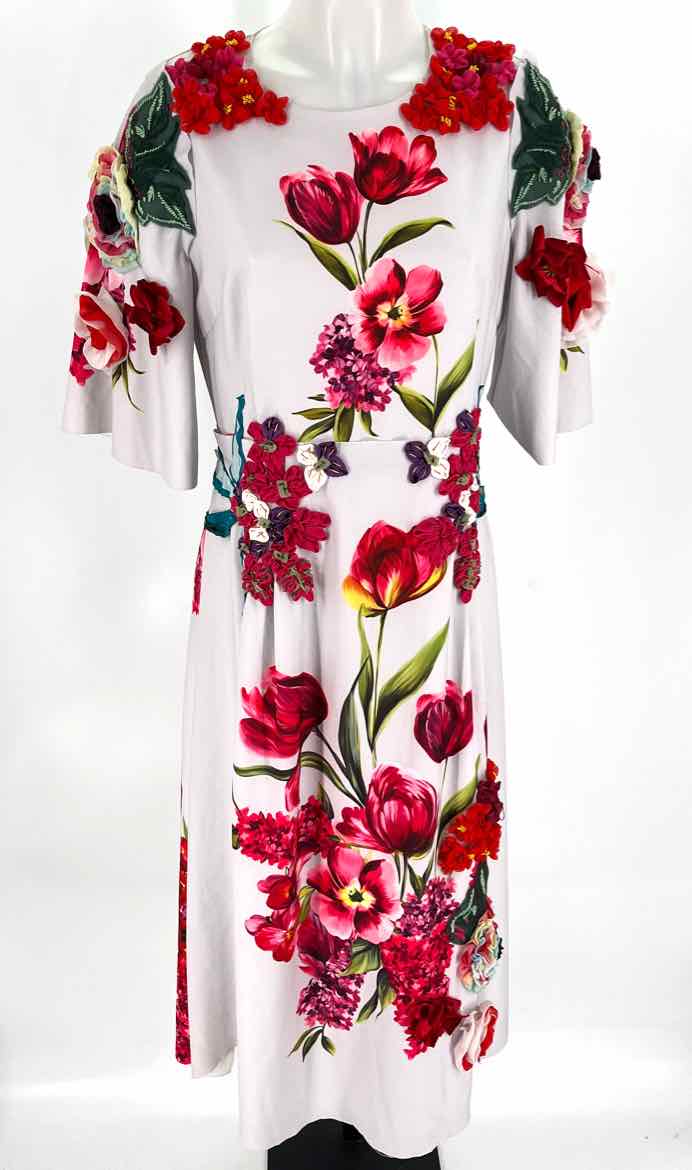 Size XL Multi-Color Dress