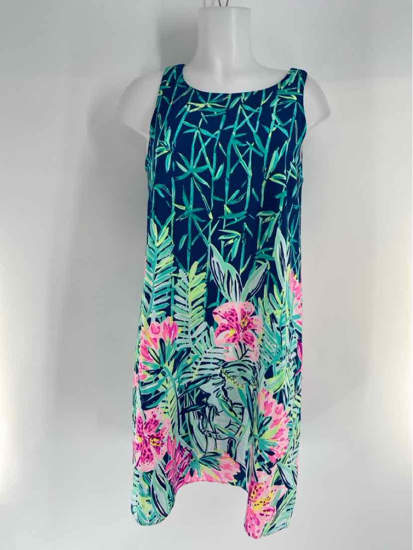 Size M Lilly Pulitzer Multi-Color Dress