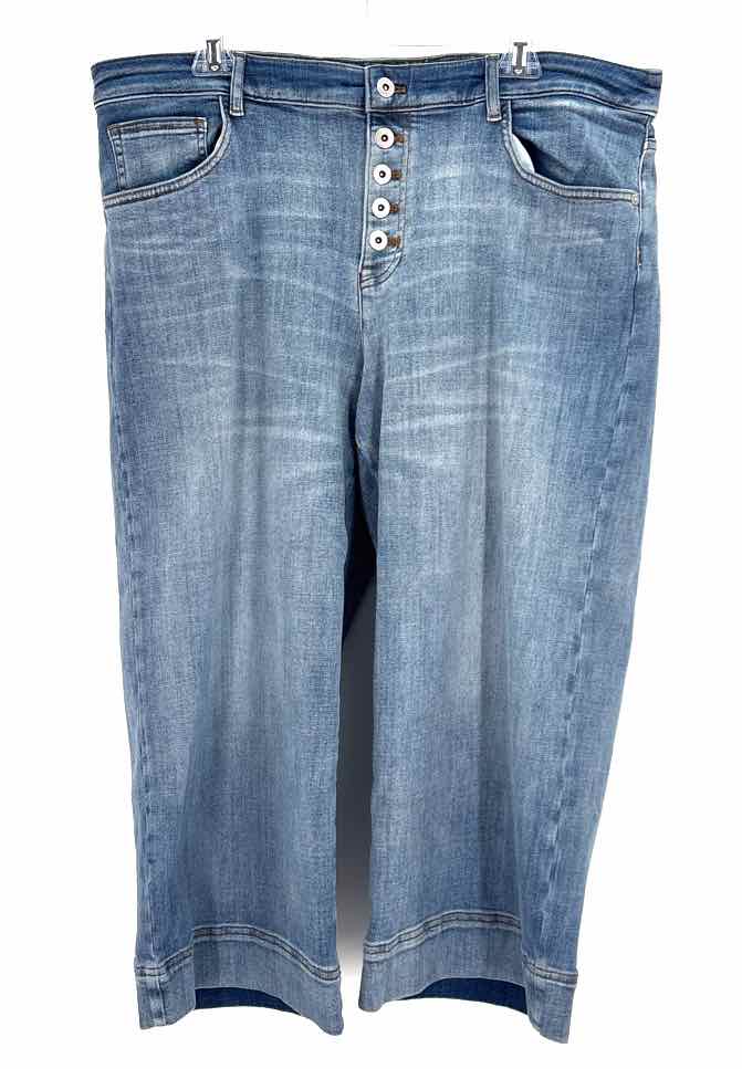Size 20 J JILL Denim Pants