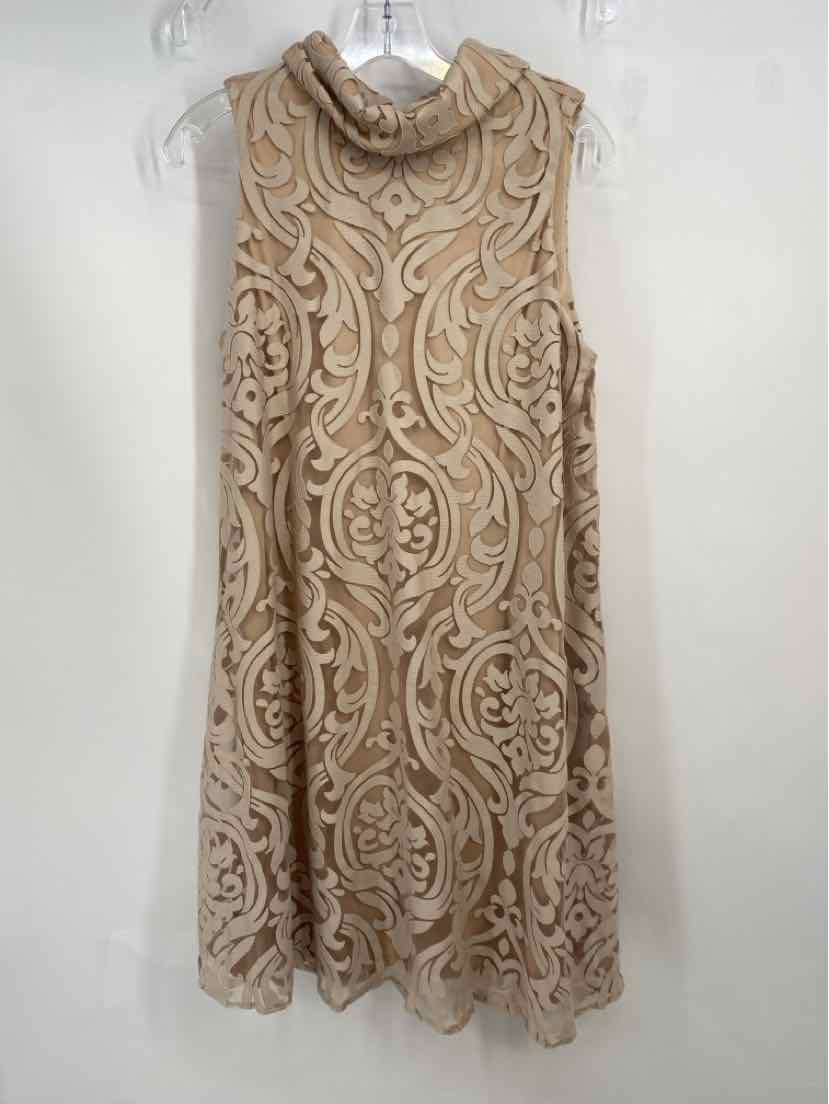 Size 12 Taupe Dress