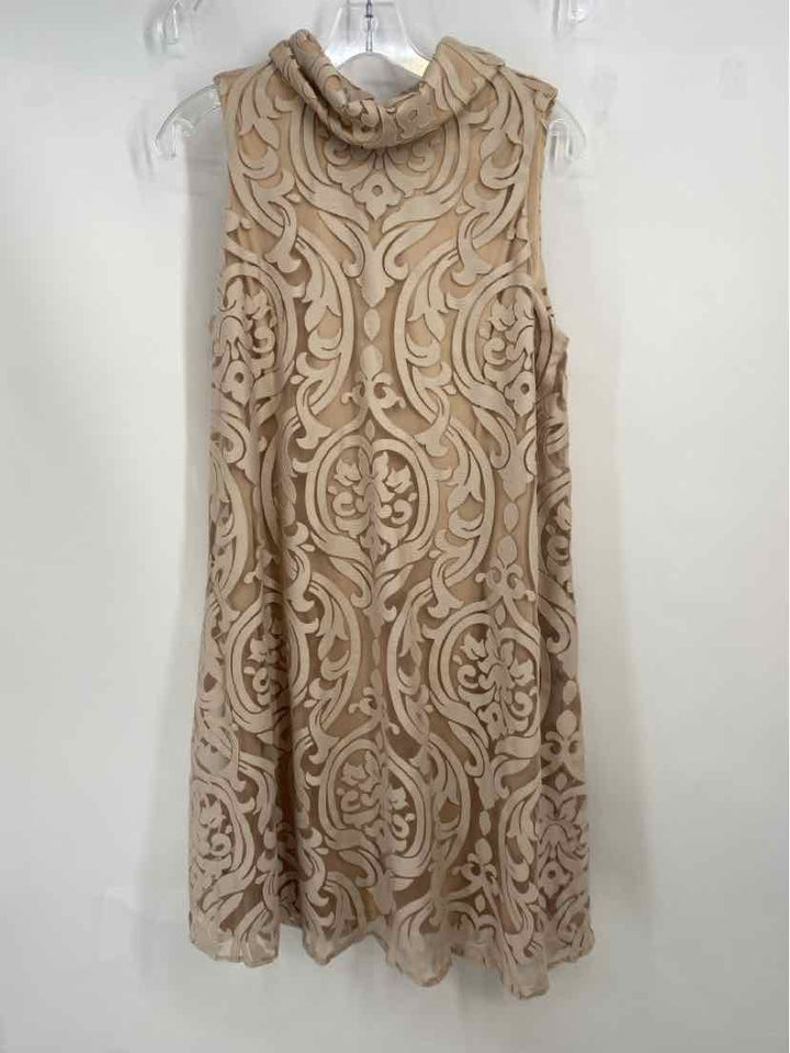 Size 12 Taupe Dress