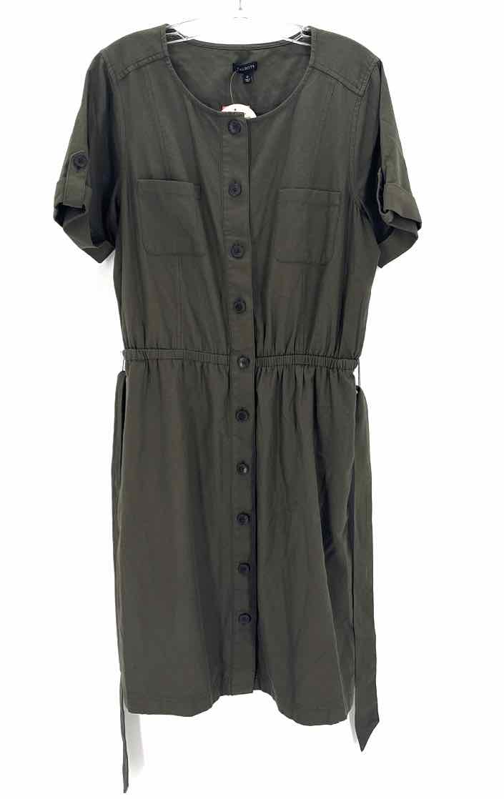 Size 12 Talbots Olive Dress
