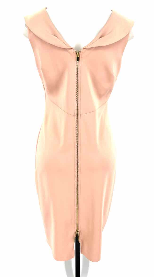 Size 10 ENFOCUS Pink Dress