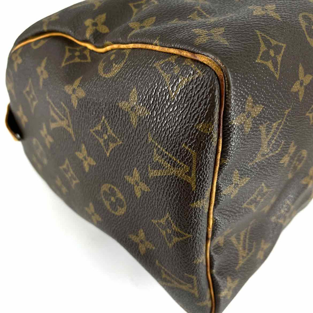 Louis Vuitton Luxury - Purse